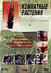 Изображение товара Комнатные растения Покупка посадка и уход