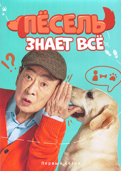 Песель знает все 1 Сезон (12 серий) (3DVD) на DVD