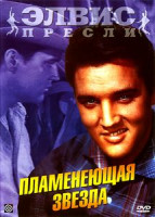 Изображение товара Пламенеющая звезда