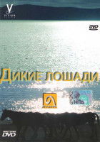 Изображение товара Дикие лошади