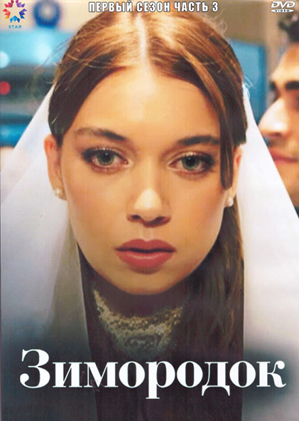 Зимородок 1 Сезон 3 Часть (4DVD) на DVD