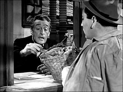 Тото в поисках дома на DVD Тото в поисках дома на DVD