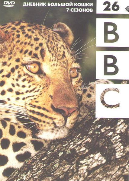 BBC 26 Дневник большой кошки 7 Сезонов на DVD