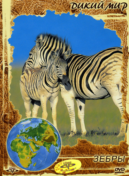 Дикий мир: Зебры на DVD Дикий мир: Зебры на DVD