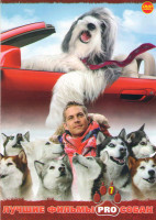 Изображение товара Лучшие фильмы PRO собак 07 (Алмазный пес / Зак и чудо собаки / Белый плен / Лохматый папа / 4 друга 4 лапы / Кошки против собак / Лохматый спецназ / П