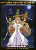 Изображение товара История сестер Уэллбер (13 серий, 2 dvd) 