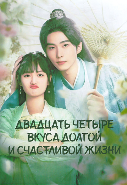 Двадцать четыре вкуса долгой и счастливой жизни 1 Сезон (24 серии) (4DVD) на DVD