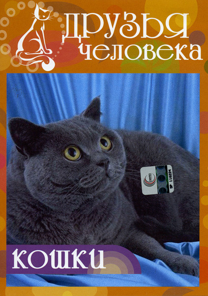 Друзья человека Кошки на DVD