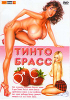 Изображение товара Тинто Брасс (Порочные отношения / Любовь моя / О, женщины / Нарушая запреты / Шалунья / Подглядывающий / Все леди делают это / Паприка / Ключ / Миранд