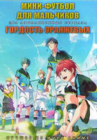 Изображение товара Мини футбол для мальчиков (12 серий) / Гордость оранжевых (12 серий) (2DVD)