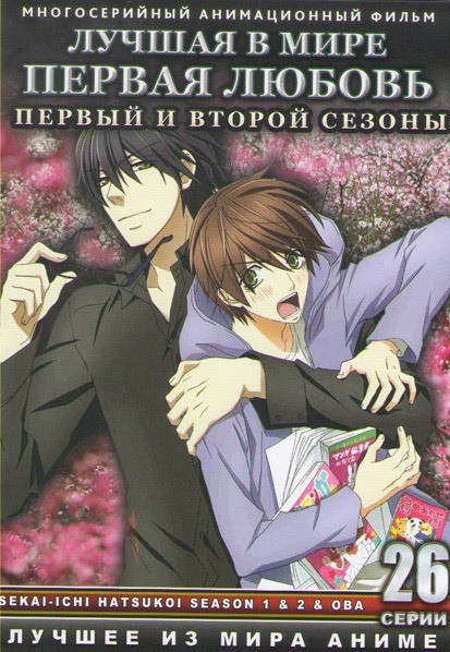Лучшая в мире первая любовь 1,2 Сезоны (26 серий) на DVD Лучшая в мире первая любовь 1,2 Сезоны (26 серий) на DVD