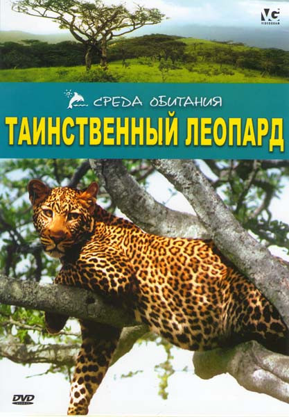 Таинственный леопард на DVD Таинственный леопард на DVD