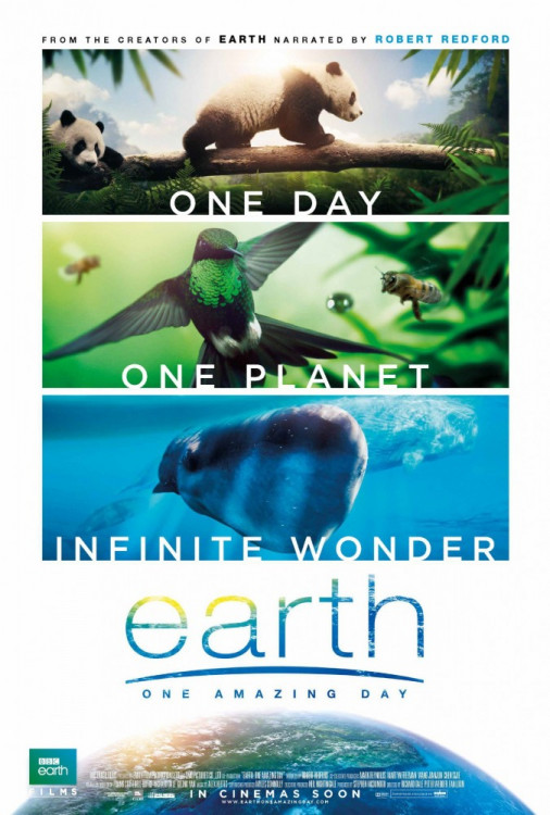 Земля Один потрясающий день на DVD