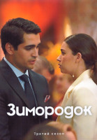 Изображение товара Зимородок 3 Сезон 1 Часть (8 серий) (4DVD)