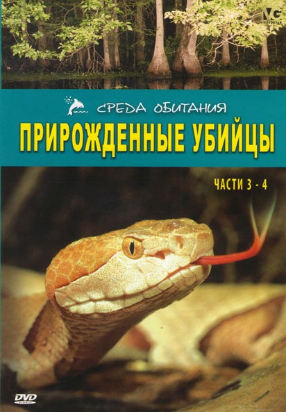 Прирожденные убийцы 3,4 Части на DVD Прирожденные убийцы 3,4 Части на DVD
