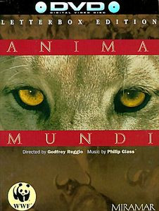 Душа Мира на DVD Душа Мира на DVD