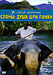 Слоны: душа Шри Ланки на DVD