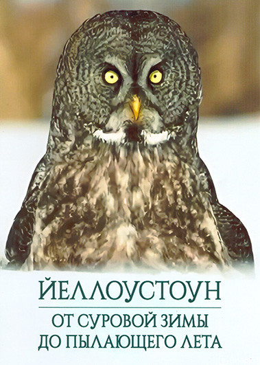 Йеллоустоун От суровой зимы до пылающего лета 1 Сезон (3 серии) на DVD Йеллоустоун От суровой зимы до пылающего лета 1 Сезон (3 серии) на DVD