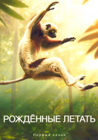 Изображение товара Рожденные летать (4 серии)