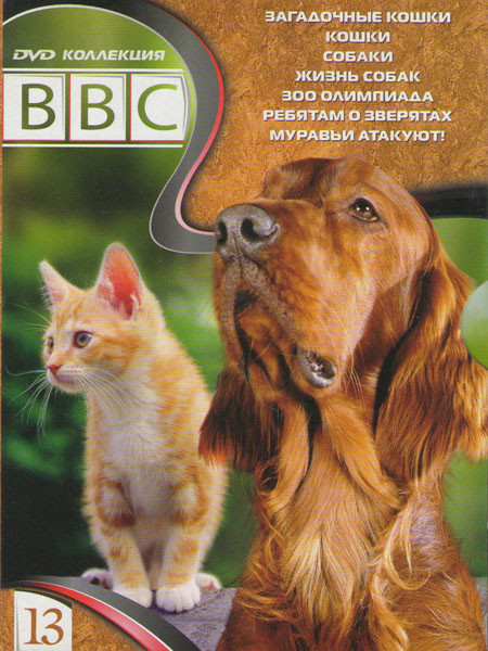BBC 13 (Загадочные кошки / Кошки / Собаки / Жизнь собак / Зоо олимпиада / Ребятам о зверятах / Муравьи атакуют) на DVD
