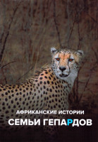 Изображение товара Африканские истории семьи гепардов 1 Сезон (6 серий)