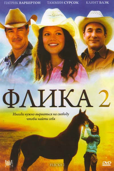 Флика 2 на DVD Флика 2 на DVD