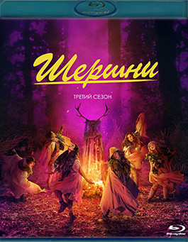 Шершни 3 Сезон (10 серий) (2 Blu-ray)* на Blu-ray Шершни 3 Сезон (10 серий) (2 Blu-ray)* на Blu-ray