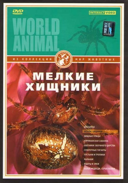 Мир животных Мелкие хищники на DVD