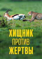 Изображение товара Хищник против жертвы 1 Сезон (3 серии)