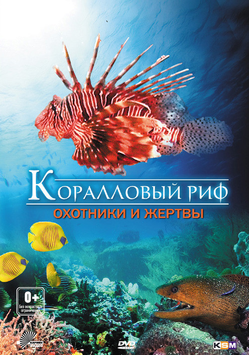 Коралловый риф охотники и жертвы на DVD