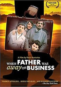 Папа в командировке (2 dvd)   на DVD