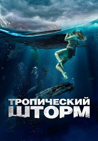 Тропический шторм на DVD