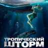 Тропический шторм на DVD