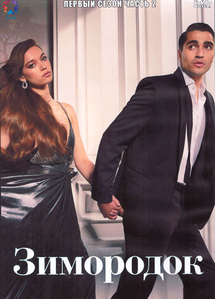 Зимородок 1 Сезон 2 Часть (4DVD) на DVD
