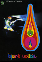 Изображение товара BJORK Voltaic Tour (2 dvd)