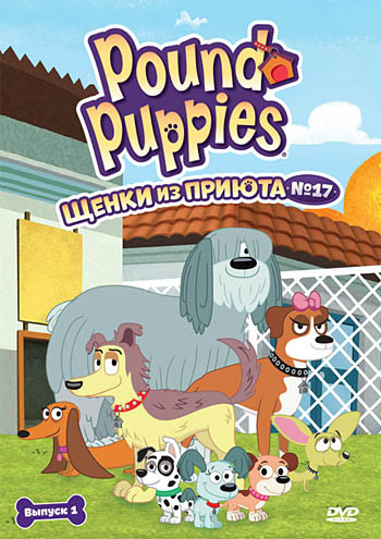 Щенки из приюта 17 1 Сезон 1 Выпуск (5 серий) на DVD