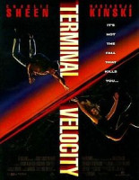 Изображение товара Скорость падения (Максимальное ускорение)