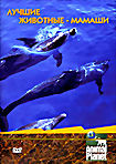 Лучшие животные-мамаши на DVD