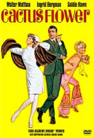 Изображение товара Кактус 