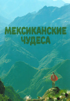 Изображение товара Мексиканские чудеса 1 Сезон (3 серии)