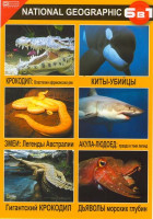 Изображение товара Крокодил: властелин африканских рек / Змеи: легенды Австралии / Гигантский крокодил / Киты-убийцы / Акула-людоед: правда в тени легенд / Дьяволы морск