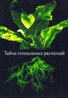 Изображение товара Тайна гениальных растений 1 Сезон (2 серии)